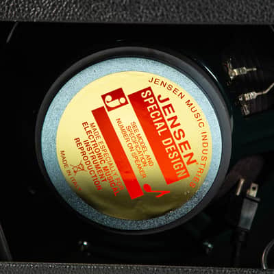 Fender Twin Reverb 65 Reissue Owned By Dave Keuning Of The The Killers image 13
