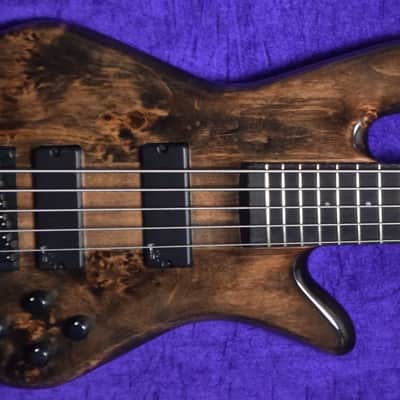 Spector NS Ethos 5, Super Faded Black w/ Rosewood image 1
