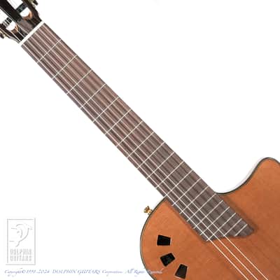 CORDOBA STAGE GUITAR (TRADITIONAL CD) image 5