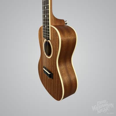 Lanikai LU21-C Concert Ukulele w/ Bag image 4