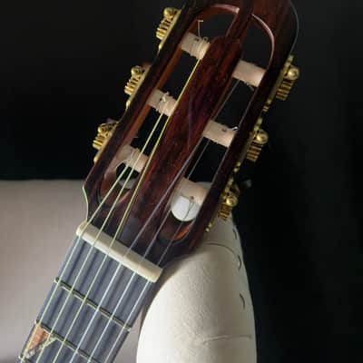 Paul McGill Super Ace Nylon Classical Cutaway Brazilian Rosewood BAM Case image 12