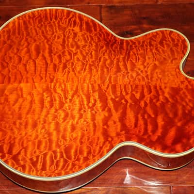 1981 Gibson Citation Vanderbilt Rose finish image 4