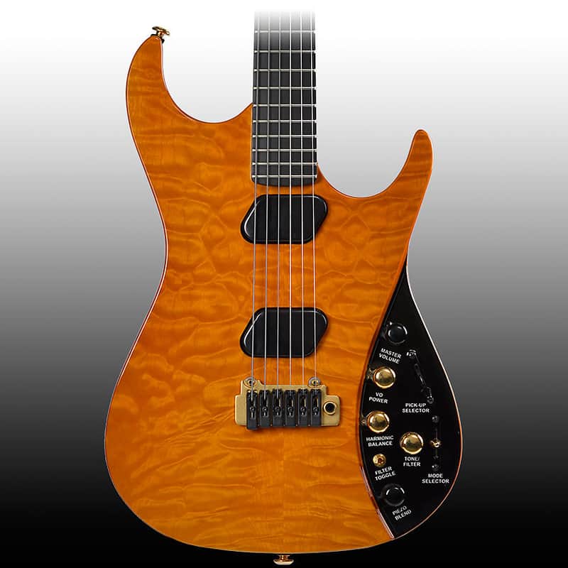 Immagine Moog E-1 Paul Vo Collector's Edition Flamed - 1