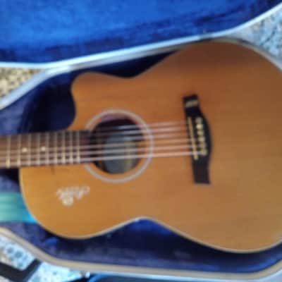 Seagull Natural Elements Amber Trail CW Mini Jumbo SG T35 Acoustic