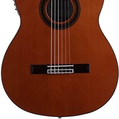 Cordoba C7-CE CD/IN Classical Acoustic-Electric Guitar, 50mm Nut Width image 4