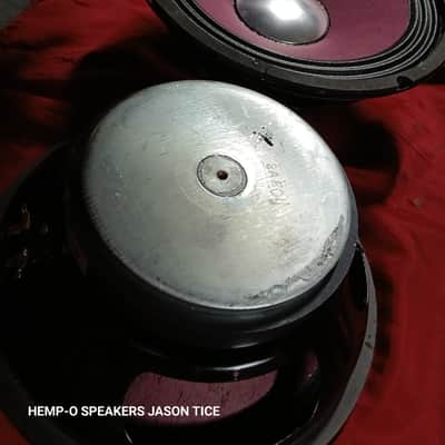 HARTKE 10" SPEAKERS HEMPOPOTAMUS HYBRIDS G5 CONES 2 AVAILABLE TONALITY SAVAGES image 1