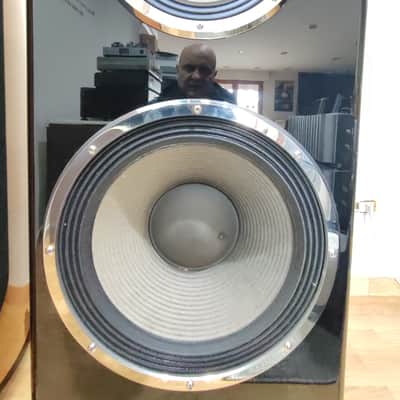 DANIEL HERTZ MARK LEVINSON M1 REFERENCE + 4 TELIKOS M5 + M6 2016 image 15