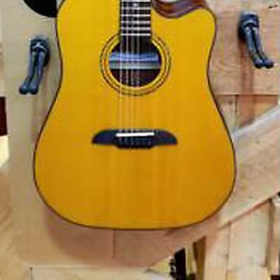 Elioth Revolution B-305 NS Solid Spruce Top (Dreadnought) | Reverb
