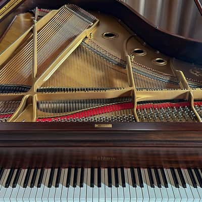 Immagine Baldwin C 1897 - Mahogany Satin #7595 - 3