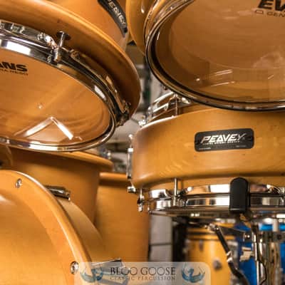 Peavey RBS-1 7-Piece Drum Set w/ Radial Pro 1000 8" Tom | 22/16/14/12/10/8/14SN image 8