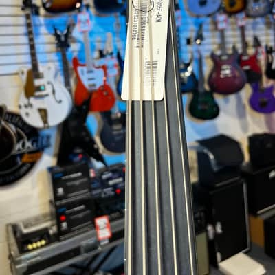 Ibanez Standard EHB1005F Fretless 5-string Bass Guitar - Arctic Ocean Matte 768 GET PLEK'D image 2