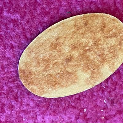 vintage 1959 Lifton case badge logo for Les Paul PAF Burst es 335 L5 175 L5 paf super 400 350 image 6