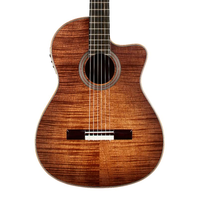 Cordoba Fusion 12 Exotic Top image 2