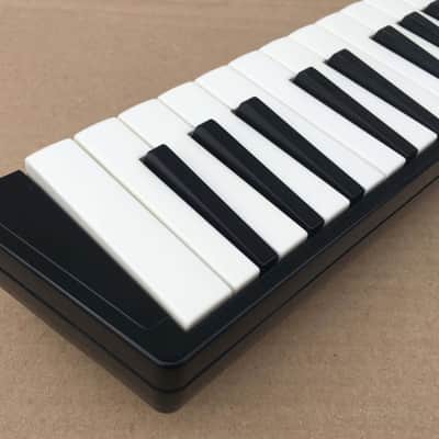 Hohner Melodica Cassotto 26 Keyboard Harmonica + Accessories (Melodion, Pianica) image 5