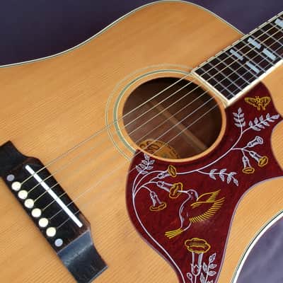 1975 Greco 202 Hummingbird Model MIJ by Fujigen Gakki image 18
