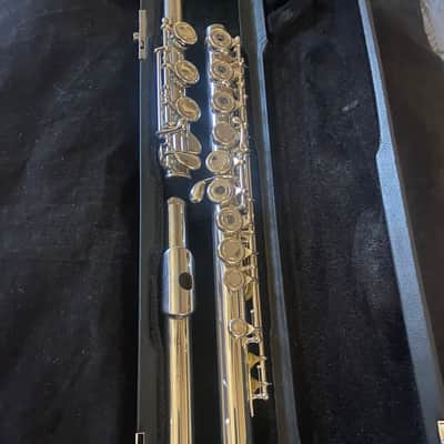 Haynes Giarindinelli GFL 10 mid 2000s - Silver plated image 13