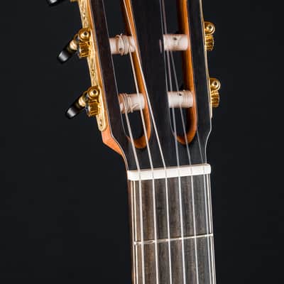 Lowden S-35J Guatemalan Rosewood and Alpine Spruce Nylon String Jazz Series with Pickup NEW image 15