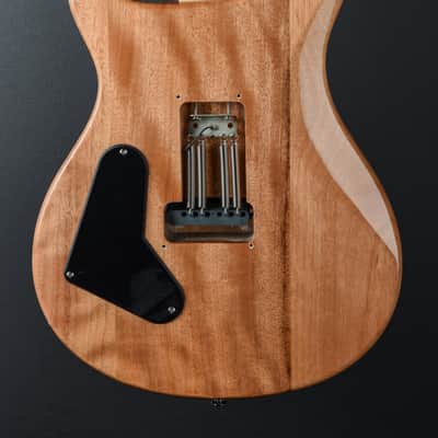 Paul Reed Smith SE Custom 24 '22 image 5