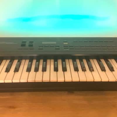 Roland D-20 Multi-Timbral Linear Synthesizer / Multitrack Seq 90’s - 100% fully working order