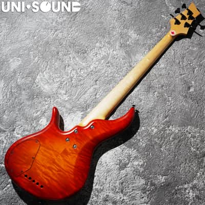 F Bass Alain Caron Signature AC-5 AC5 Fretless image 6