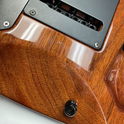 Brian Moore C-55P 1997 Namm Show - Striped Ebony image 10