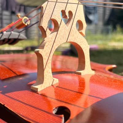 Westbury Eastman cello 4/4 - Hand varnish image 2