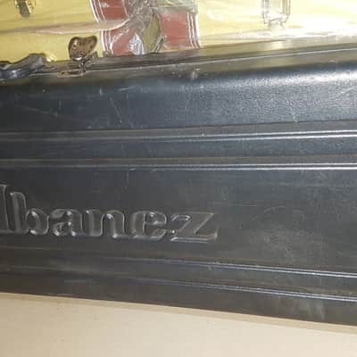 IBANEZ RADIUS / SABER PRESTIGE DELUXE CASE image 1