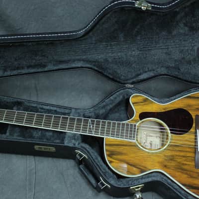 Alvarez AF60CK Acoustic Electric With Hardcase image 13