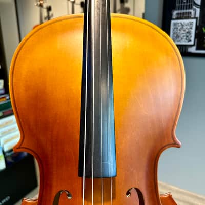 STUDENT CELLO: 1/2 Cello - Strumenti a Corde 105 2018 - Matte image 5