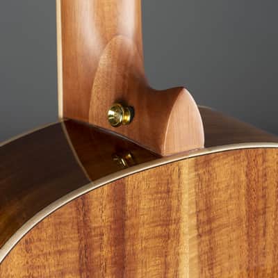 Ortega RE30TH-ACA 30th Anniversary - 4/4 classical guitar image 10