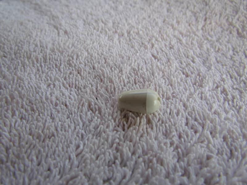 1978 Fender Stratocaster Switch Tip Genuine Vintage Part Shows Some Wear But Original Made In USA 1978 Stratocaster Switch Tip image 1