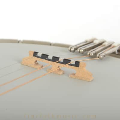 1995 SCHNOOR "BELL" ARCHTOP TENOR BANJO image 15