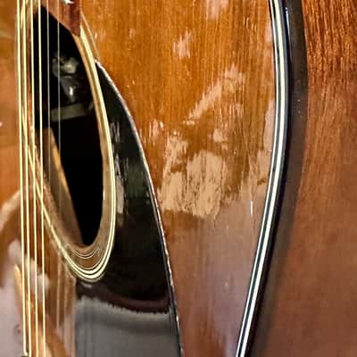 Martin D19 1977 image 11