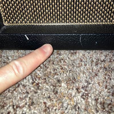 Friedman JJ Jr w/ 2x12 cab image 8