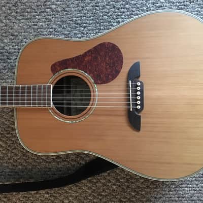 Alvarez Professional Series PD91S 2008 Natural image 1