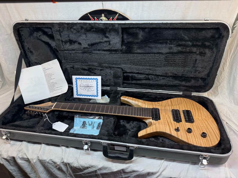 ViK Guitars Left-Handed Lefty Nolly's Signature Duality 7 7-string Guitar with Case 2014 image 1