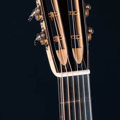 Collings 01G Figured Blister Maple and German Spruce Custom NEW image 12