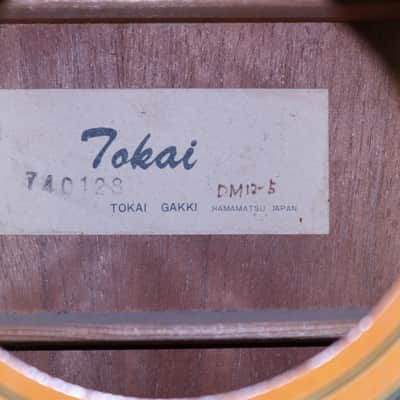 Vintage Tokai Gakki Japan DM12-5 12-string Acoustic Guitar Project image 7
