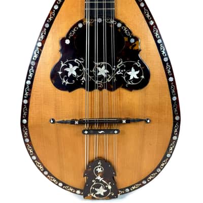 Umberto Ceccherini Mandola / Octave Mandolin (Giovanni Palladino Label) 1896 image 2
