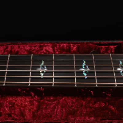 Taylor Builder's Edition 914ce LTD Macassar 039 image 15