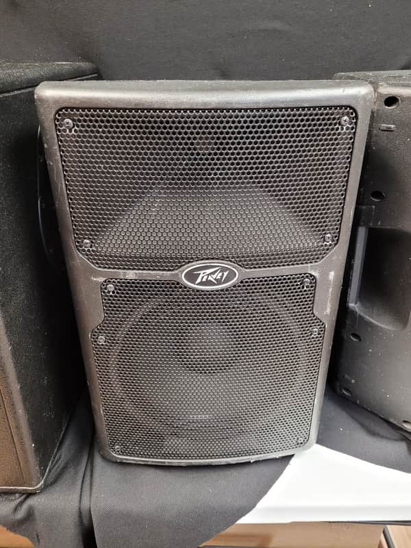 Peavey PVX p10  10inch speaker (1) image 1