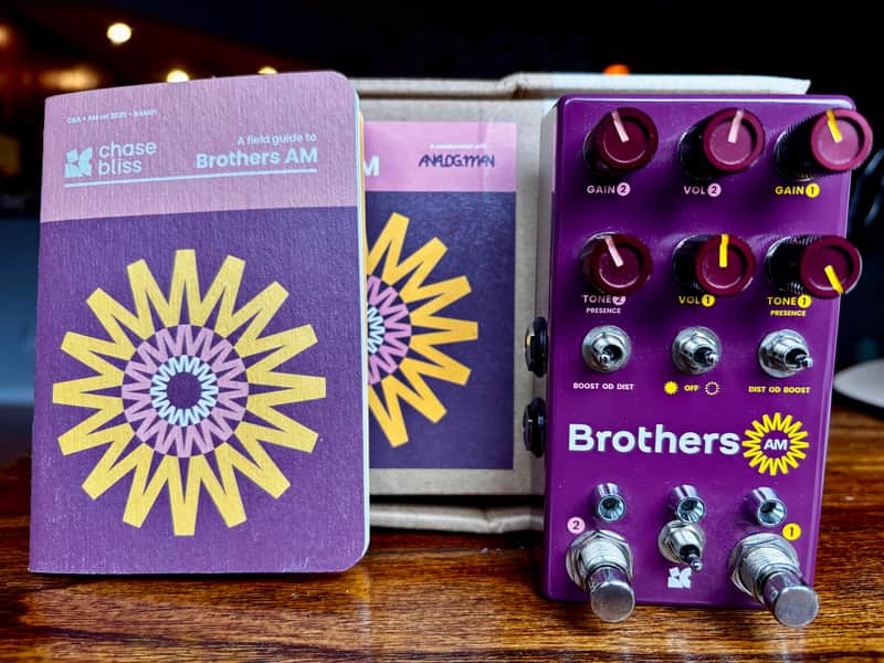 Chase Bliss Audio Brothers AM