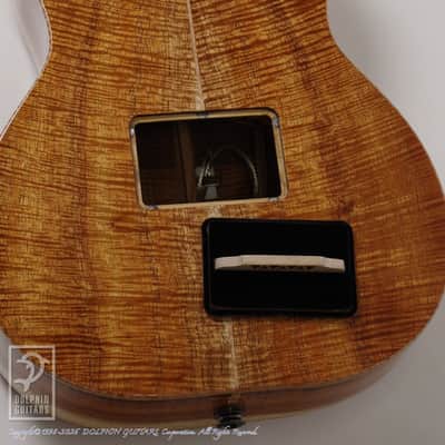 Kanile’a Platinum LE-T 21 2021 image 11