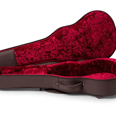 Taylor AD14ce-SB LTD 50th Anniversary Grand Auditorium w/AeroCase (Demo) image 14