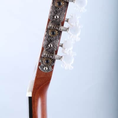Fender Gemini I Classical Acoustic Guitar W Nylon Stings and Case Vintage image 17