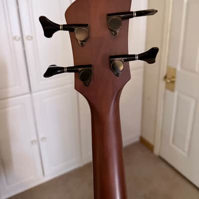 Spector Timbre 2010s - Walnut image 11
