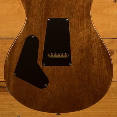 PRS Custom 24 Birds of a Feather LTD - Honey Gold image 4