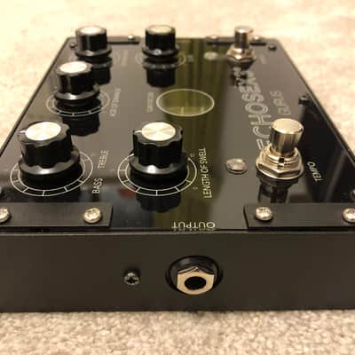 Gurus Echosex 3 - Tube Binson Echorec Delay Pedal image 9