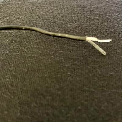 Single Coil Pickup with Aged Cover, plus Screws and Springs (Aged White) image 11