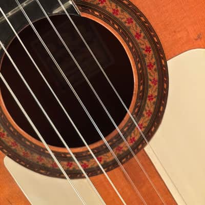 1965 Manuel de la Chica Flamenco Guitar image 10